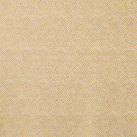 Nina Campbell Assisi 4 Fabric NCF4260-04