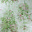 Nina Campbell Lochwood 1 Wallpaper NCW4152-01