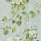 Designers Guild Floreale 2 Wallpaper PDG673-02