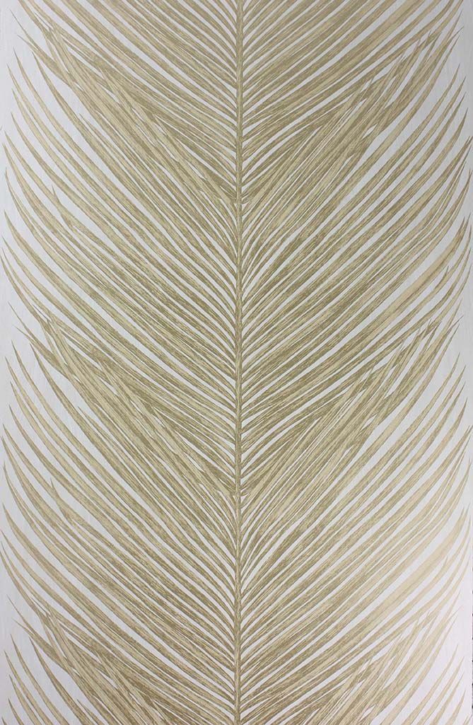 Nina Campbell Mey Fern 1 Wallpaper NCW4154-01