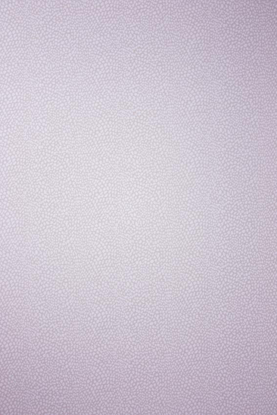 Osborne & Little Oriole 7 Wallpaper W6491-07