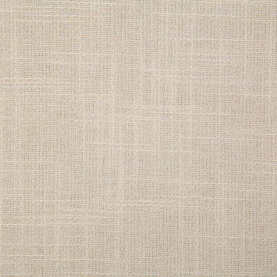 Pindler Wentworth Chamois Fabric 5045