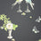 Nina Campbell Perroquet 4 Wallpaper NCW3830-04