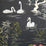 Nina Campbell Swan Lake 4 Wallpaper NCW4020-04