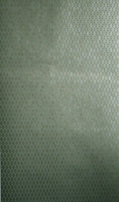 Nina Campbell Gilty 4 Wallpaper NCW4023-04