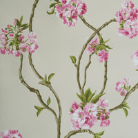 Nina Campbell Orchard Blossom 1 Wallpaper NCW4027-01