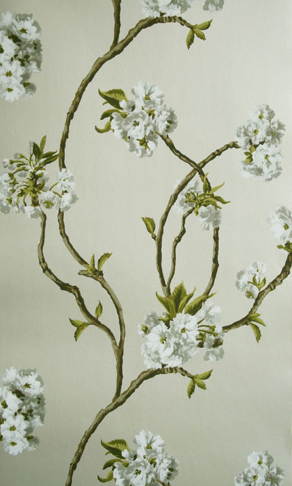Nina Campbell Orchard Blossom 5 Wallpaper NCW4027-05