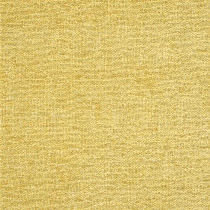Designers Guild Riveau 33 Fabric FDG2443-33