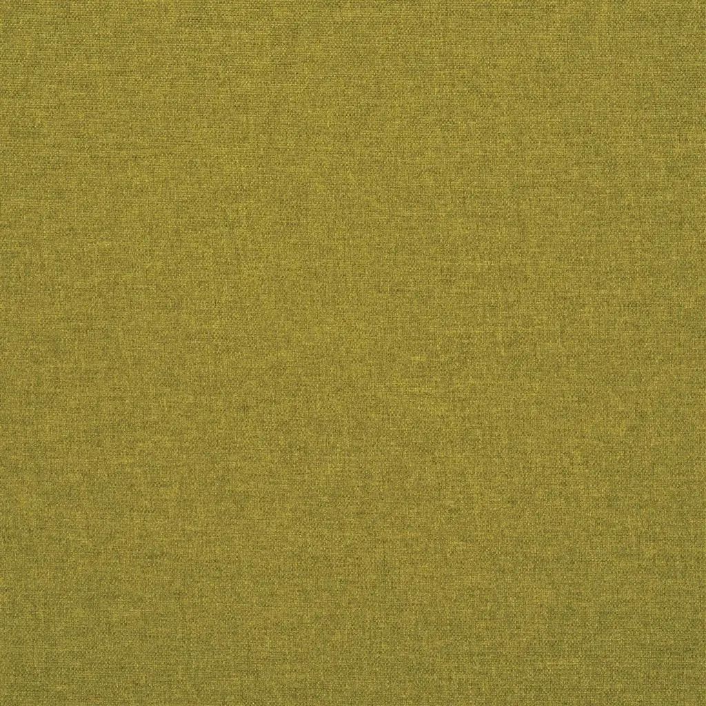 Designers Guild Rothesay 20 Fabric FDG2444-20