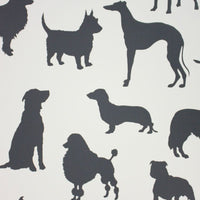 Osborne & Little Best In Show 3 Wallpaper W6181-03