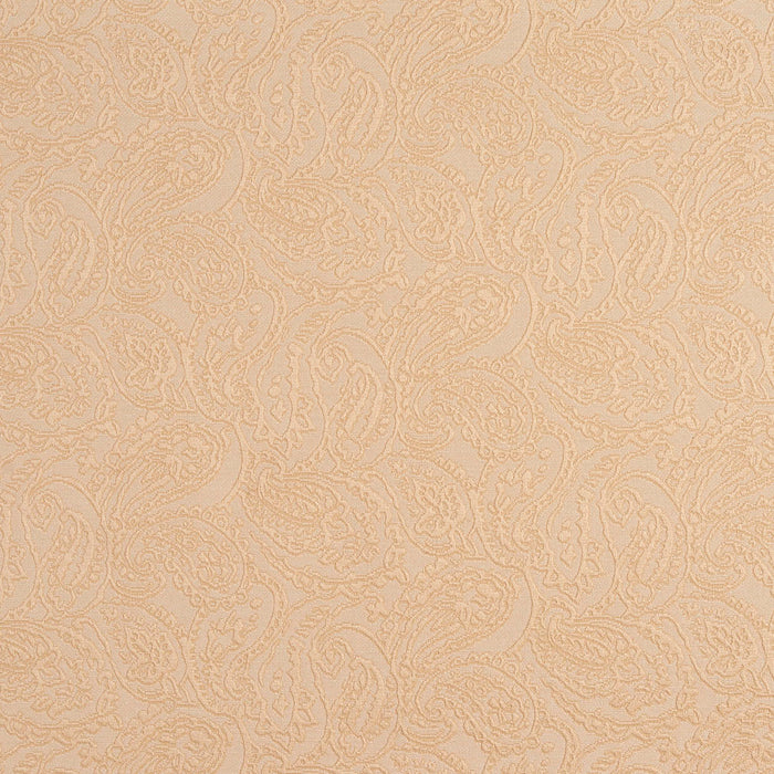 Charlotte Natural/paisley Fabric Sample 5580