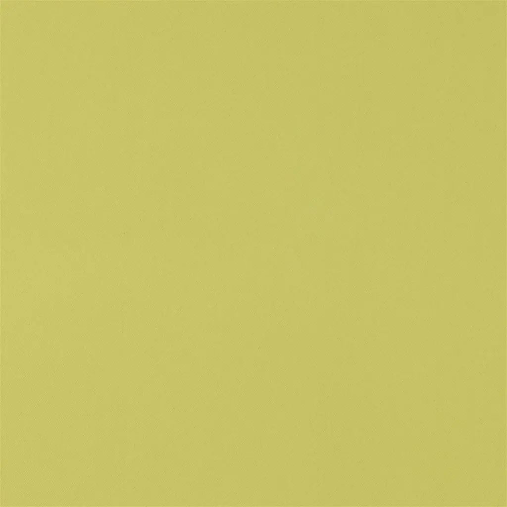 Designers Guild Piave 25 Fabric F1798-25
