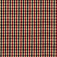 Charlotte Port Check Fabric 5811
