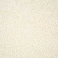 Pindler Buckaroo White Fabric 6139