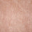 Pindler Atlas Cameo Fabric 6292