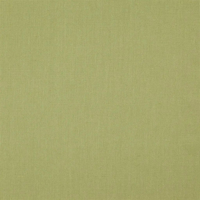 Designers Guild Scala 11 Fabric FDG2548-11