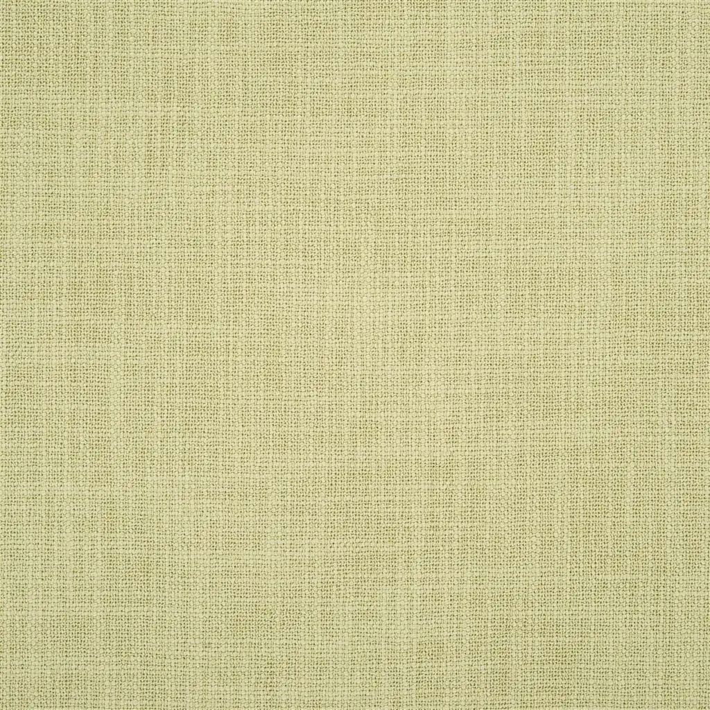 Designers Guild Carlyon 17 Fabric FDG2536-17
