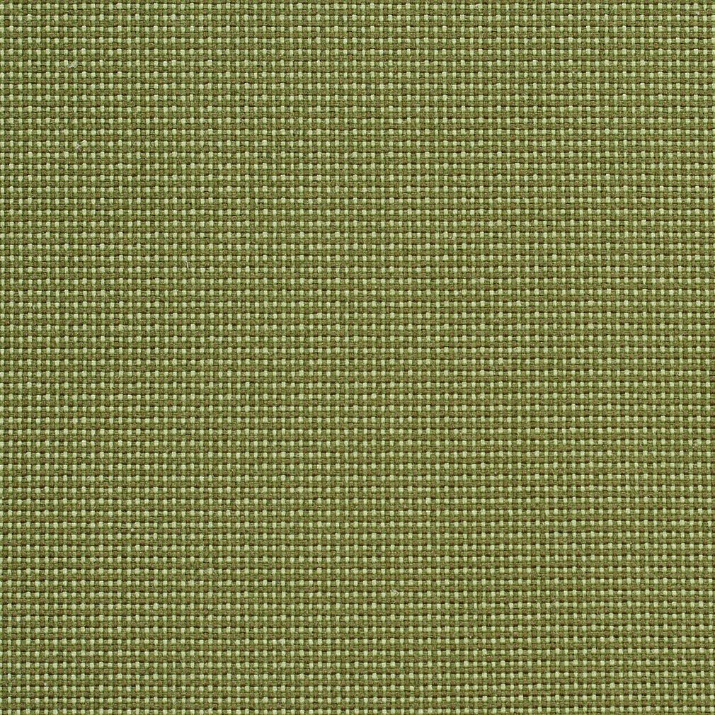Charlotte Ivy/dot Fabric 6745