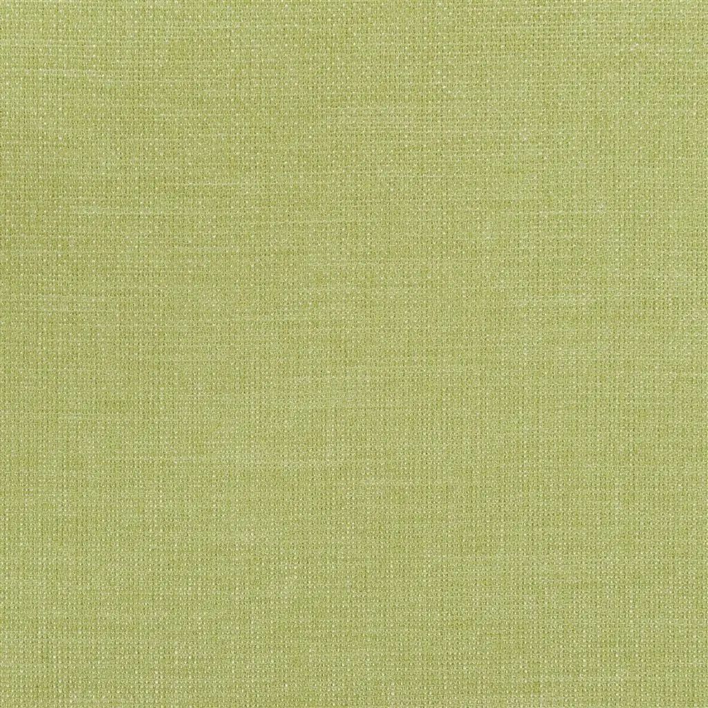Designers Guild Brienno 28 Fabric FDG2530-28