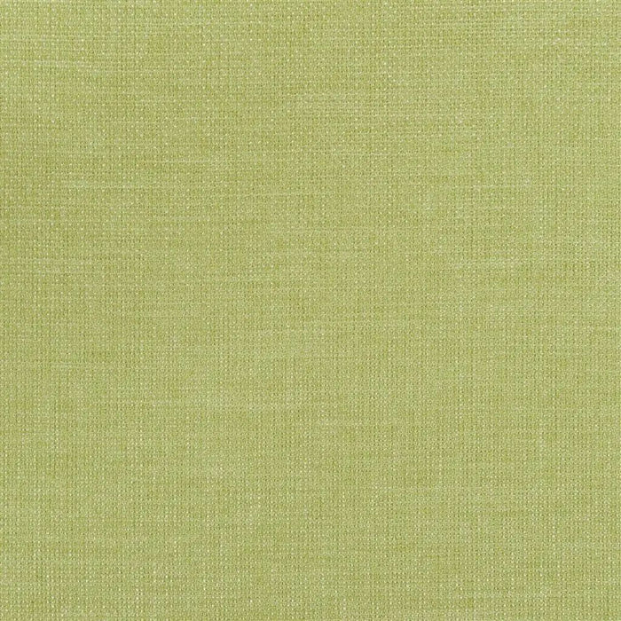 Designers Guild Brienno 28 Fabric FDG2530-28