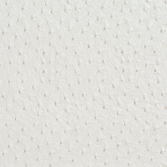 Charlotte Pearl Fabric Sample 7017