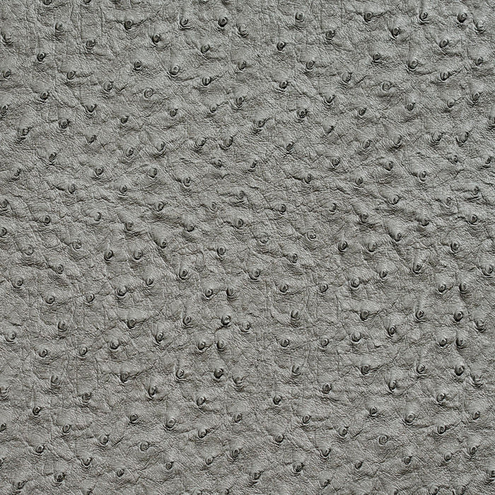 Charlotte Pewter Fabric Sample 7018