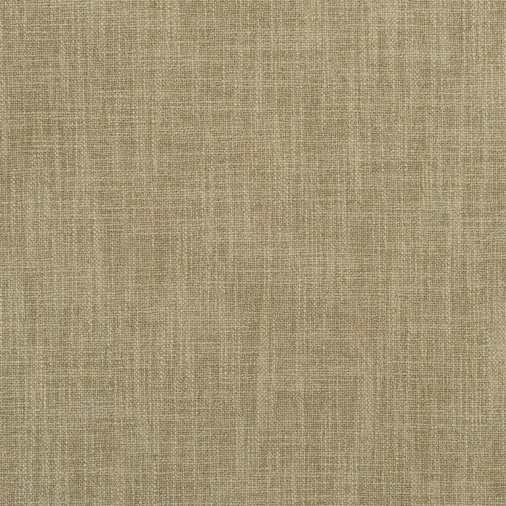 Designers Guild Carlyon 18 Fabric FDG2536-18