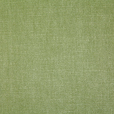 Pindler Kennedy Celadon Fabric 7050