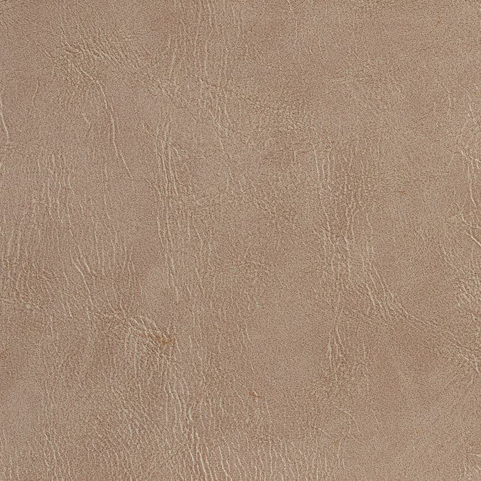 Charlotte Taupe Fabric Sample 7068