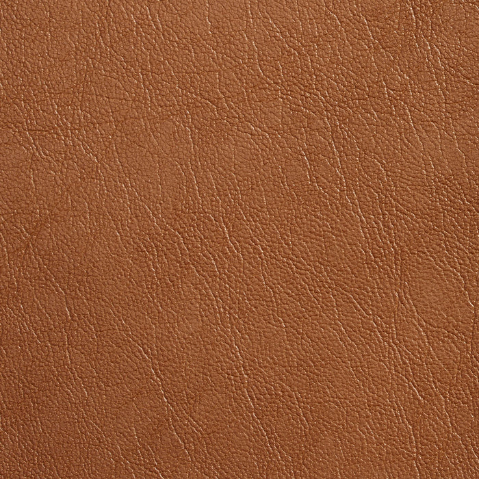 Charlotte Caramel Fabric Sample 7079