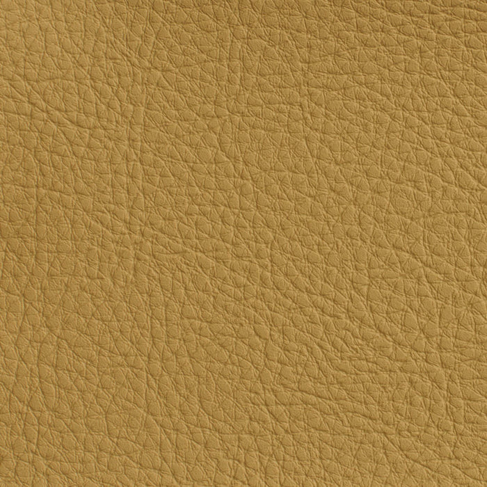 Charlotte Wheat Fabric Sample 7170
