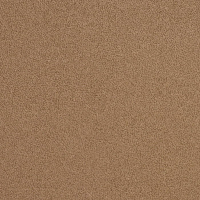 Charlotte Sandalwood Fabric Sample 7171