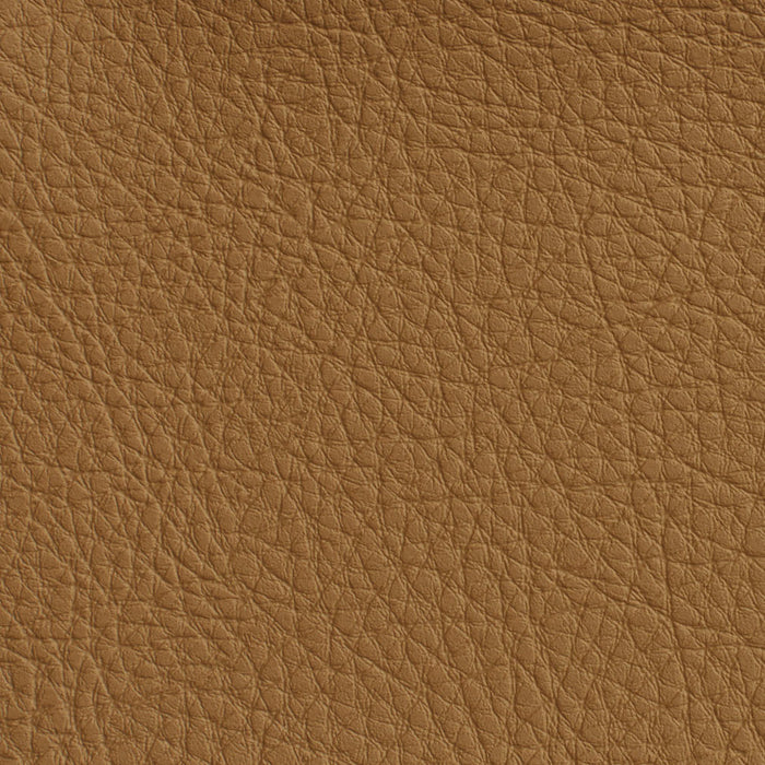 Charlotte Palomino Fabric Sample 7173