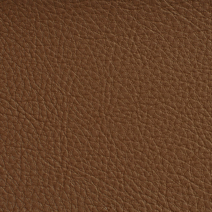 Charlotte Brown Fabric Sample 7174