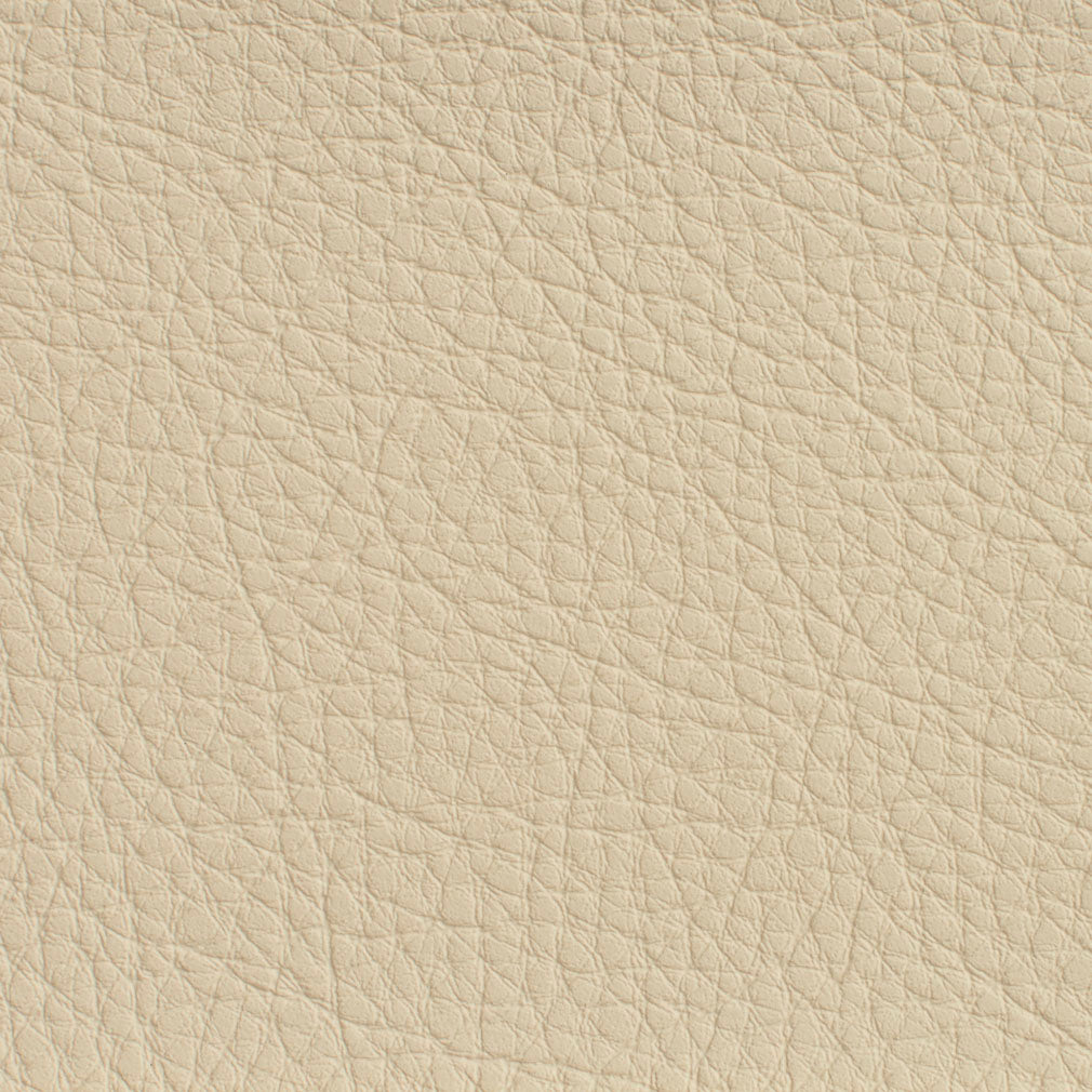 Charlotte Ivory Fabric 7175
