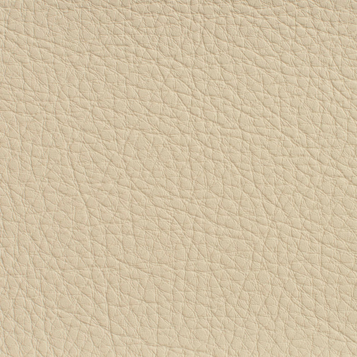 Charlotte Ivory Fabric Sample 7175