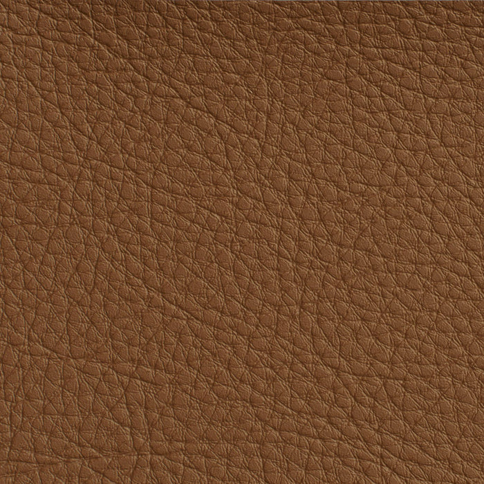 Charlotte Rawhide Fabric Sample 7176