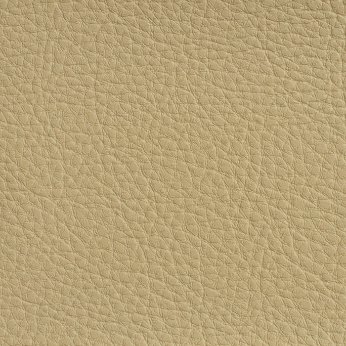 Charlotte Cream Fabric Sample 7177