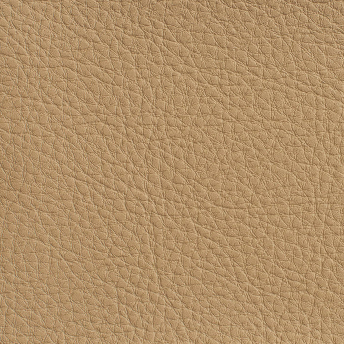 Charlotte Sand Fabric Sample 7179