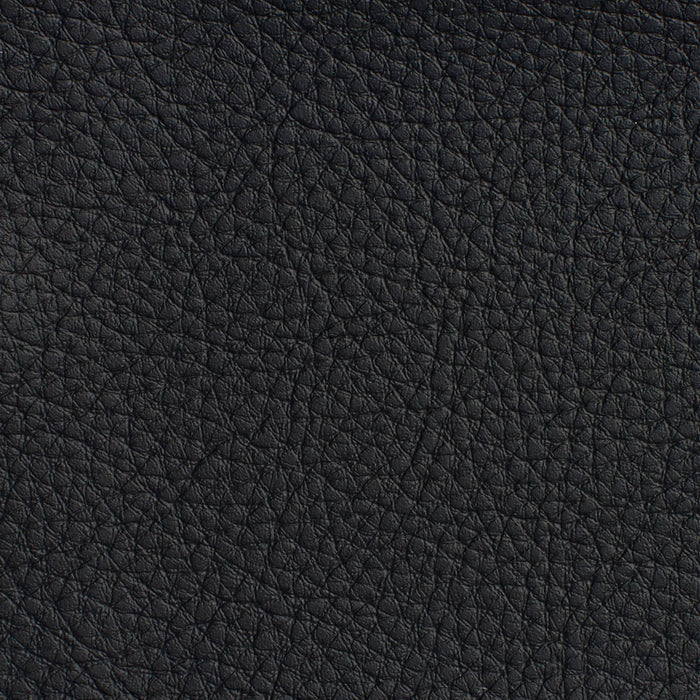 Charlotte Black Fabric Sample 7180
