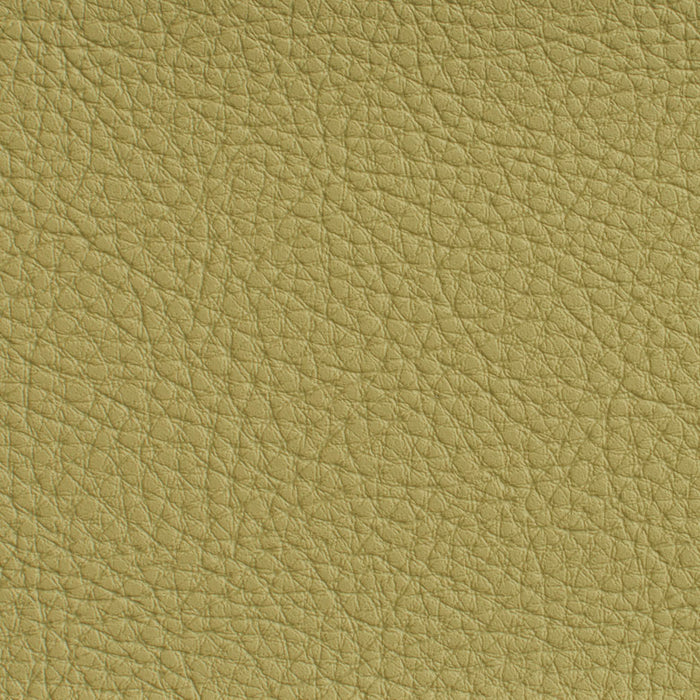Charlotte Pesto Fabric Sample 7181