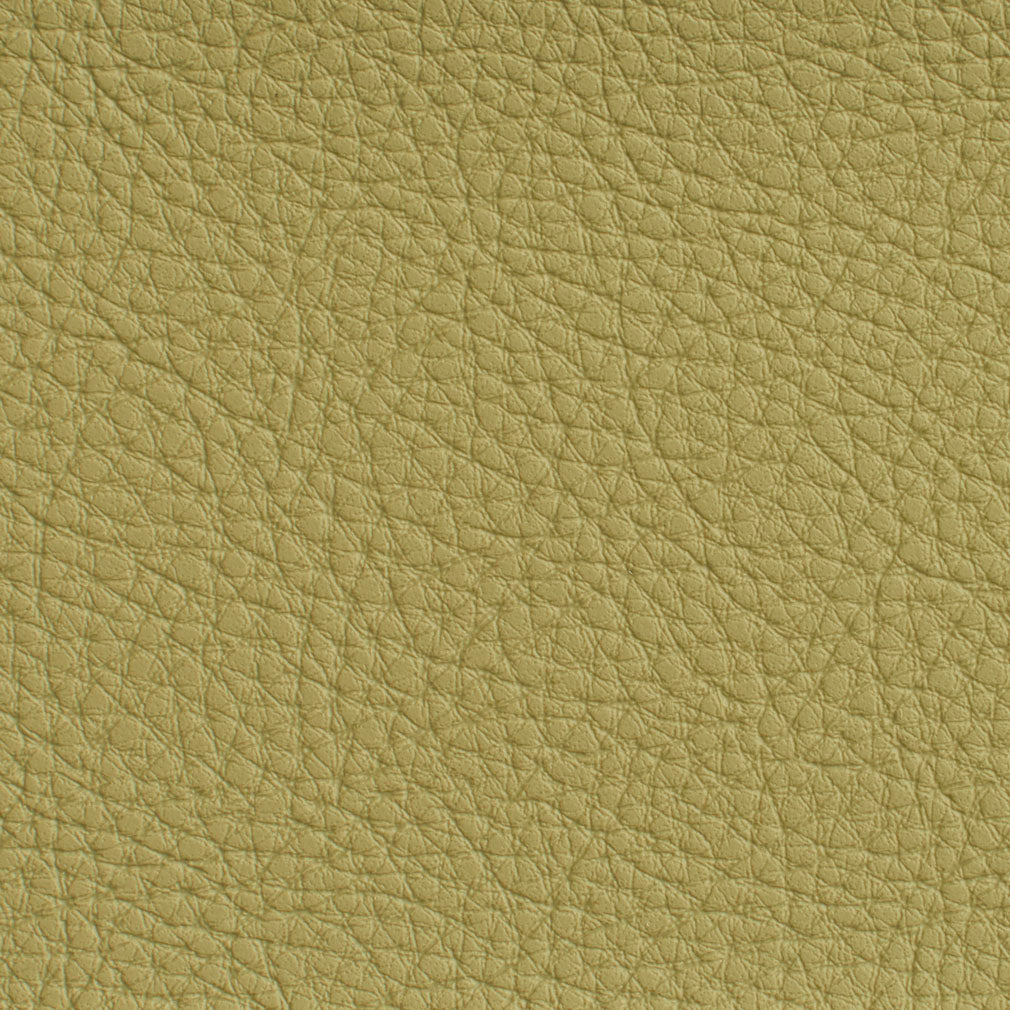 Charlotte Pesto Fabric 7181