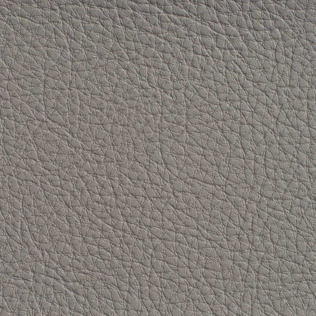 Charlotte Pewter Fabric 7185
