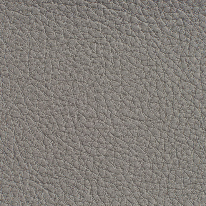 Charlotte Pewter Fabric Sample 7185