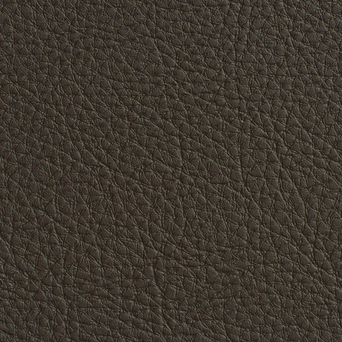 Charlotte Espresso Fabric Sample 7186