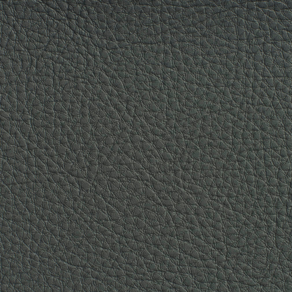 Charlotte Coal Fabric 7188