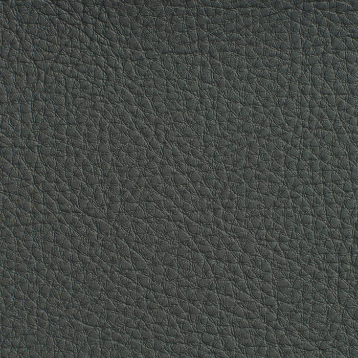 Charlotte Coal Fabric Sample 7188