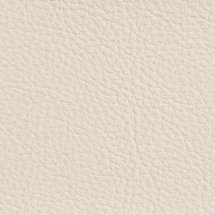 Charlotte Natural Fabric Sample 7190