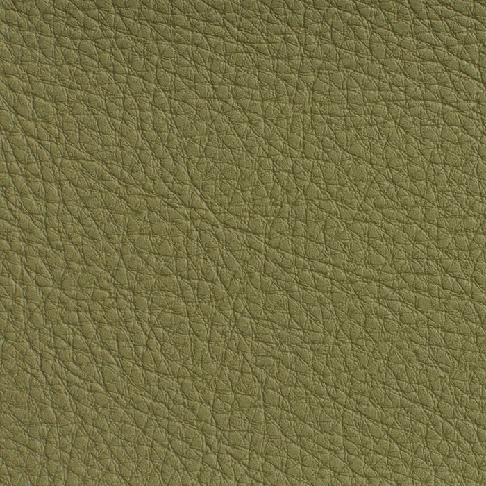 Charlotte Sage Fabric Sample 7191
