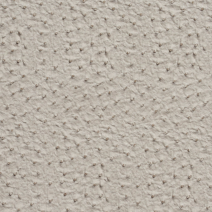 Charlotte Fog Fabric Sample 7233